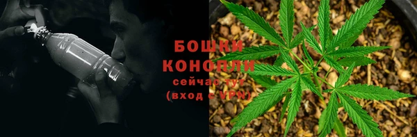 гашик Алексеевка