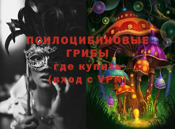 крисы Алексин