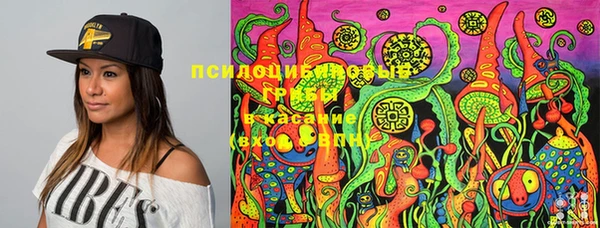 крисы Алексин