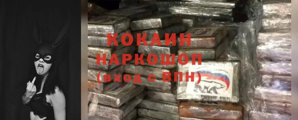 гашик Алексеевка