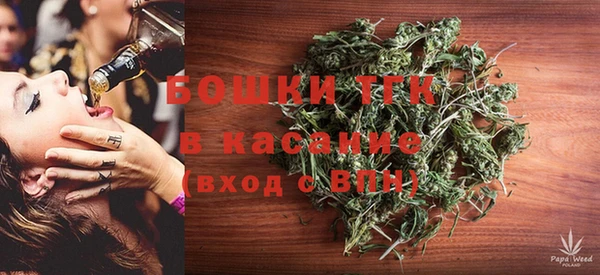 крисы Алексин