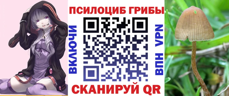 Псилоцибиновые грибы MAGIC MUSHROOMS  Купить где  Ясногорск 